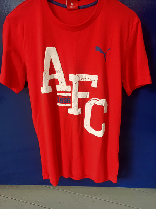 Arsenal T-shirt BNWT (Small)